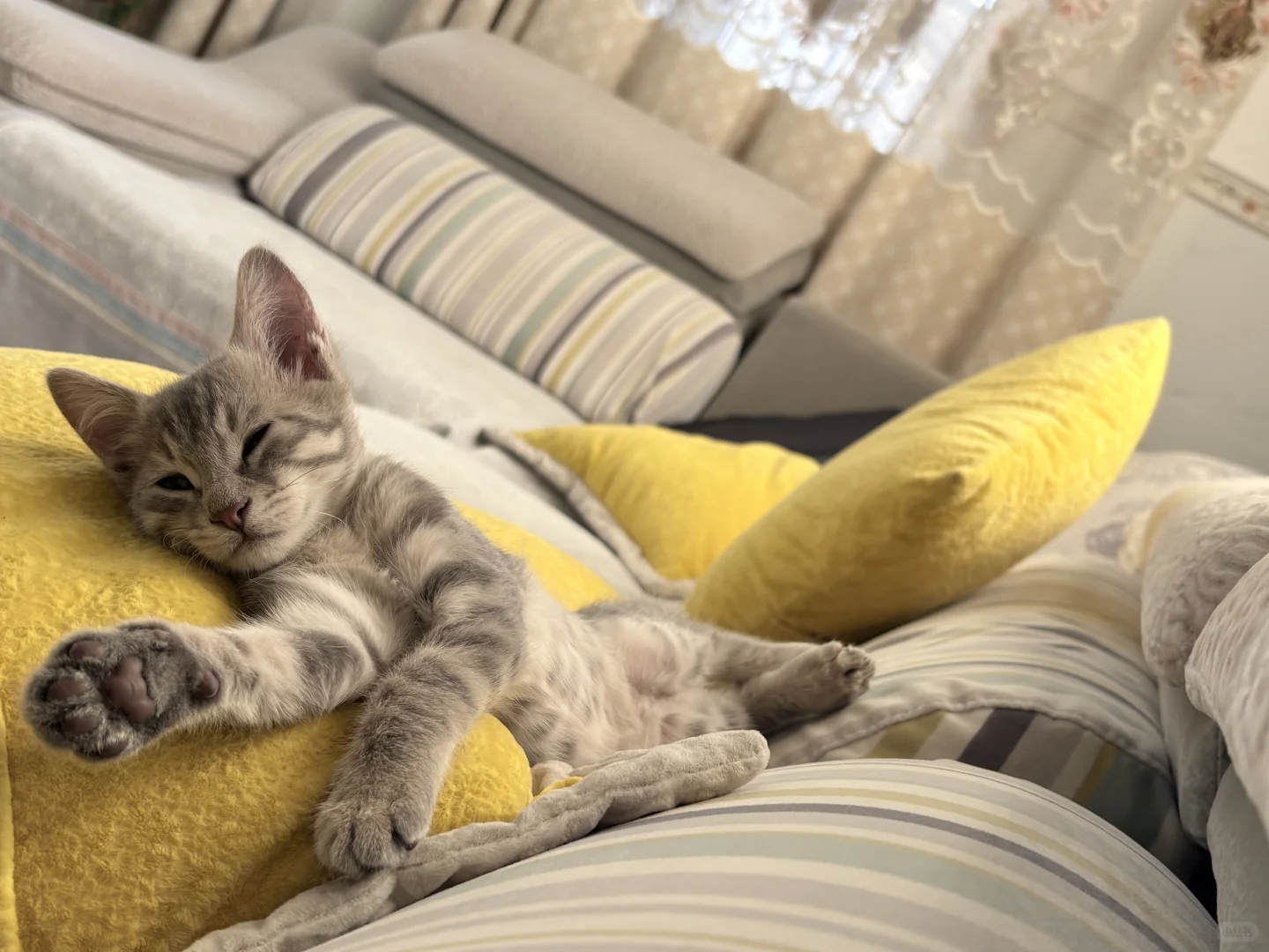 这睡姿也是绝了