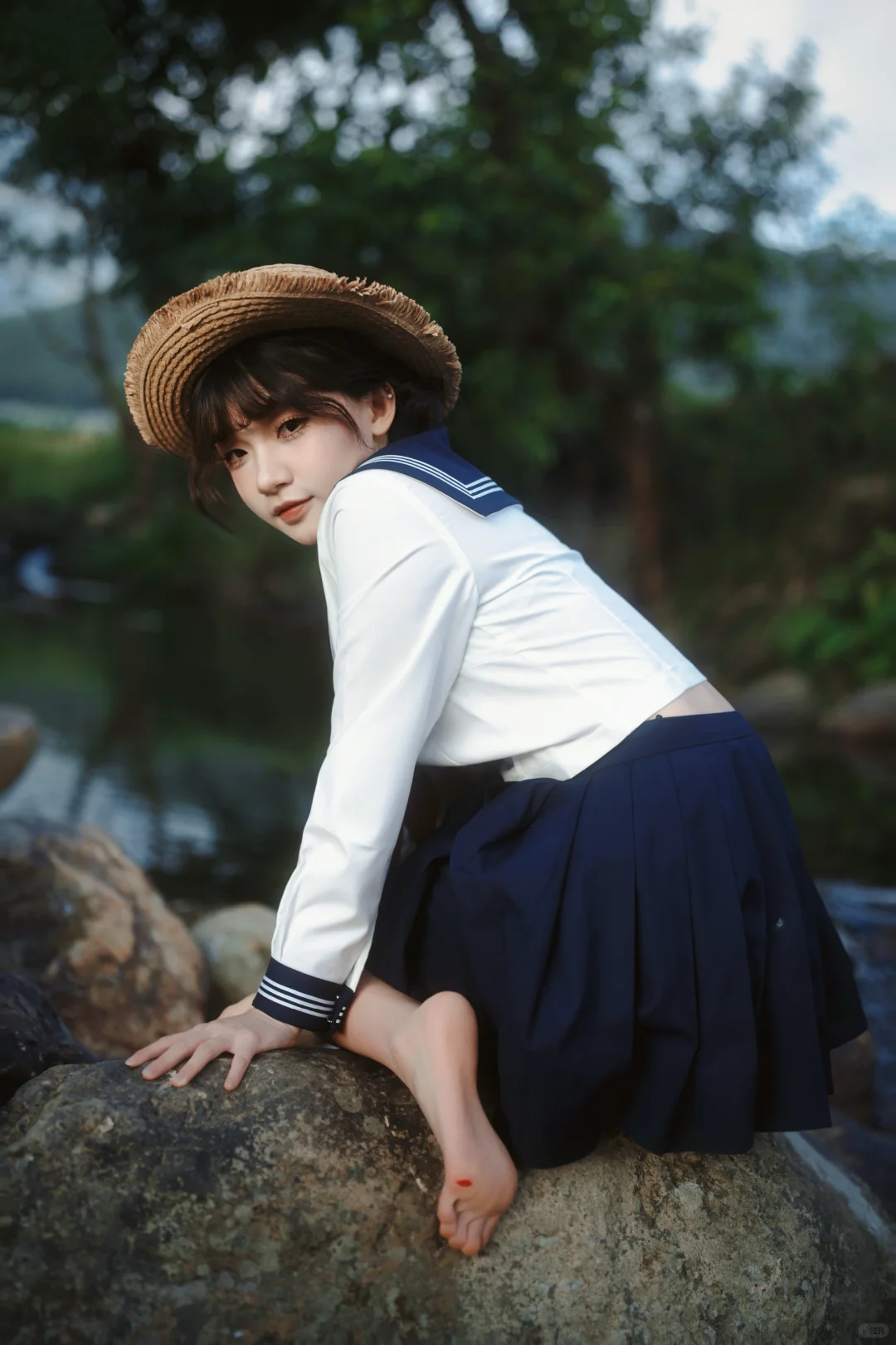 入侵蚊子根据地