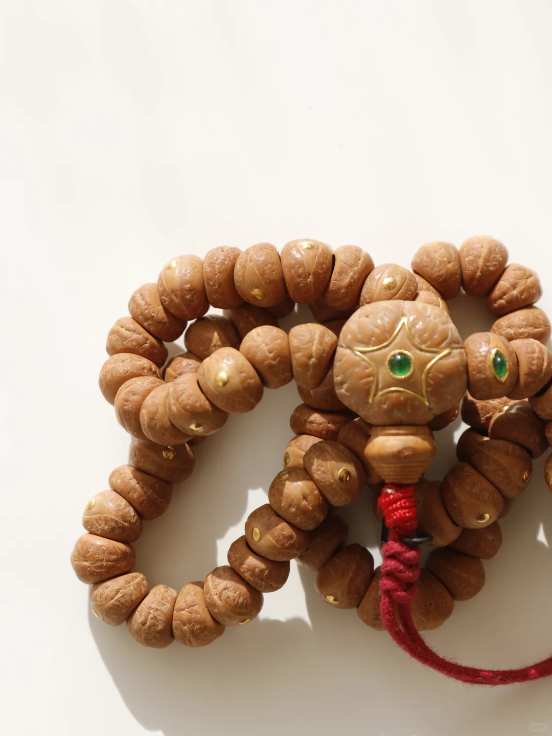 玉化皮质的凤眼大肠