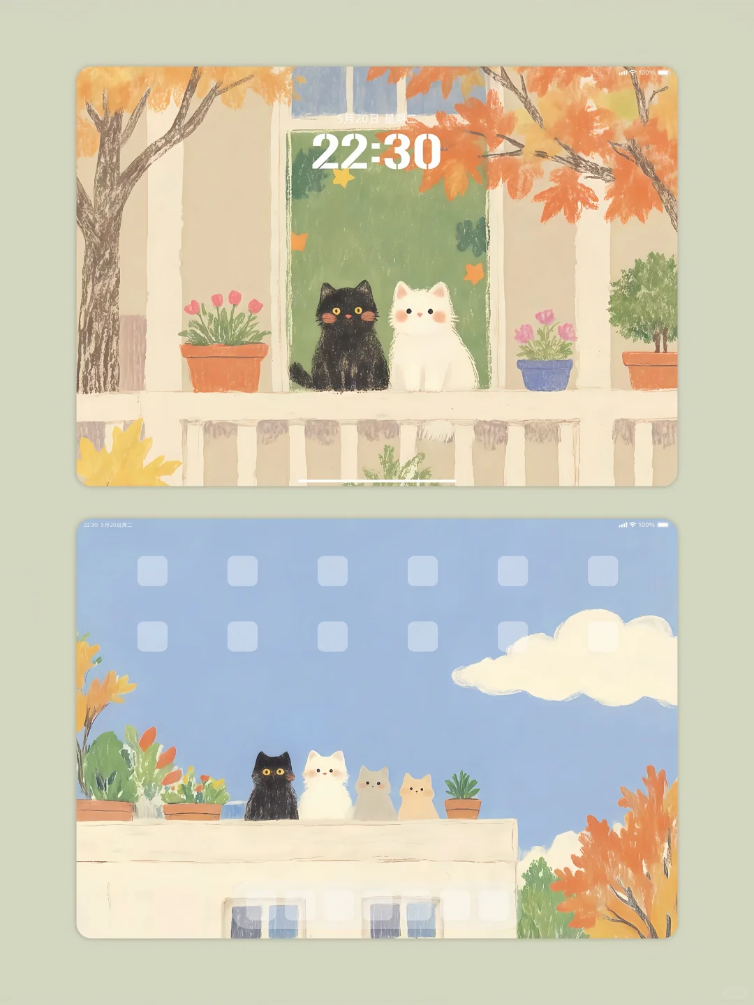 iPad壁纸•横竖通用 | 秋天🍂四只猫