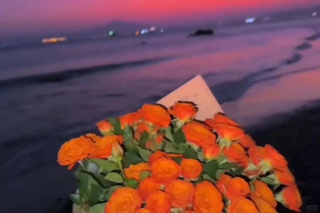 𝑺𝒉𝒂𝒓𝒆 | 超美的ipad平板壁纸