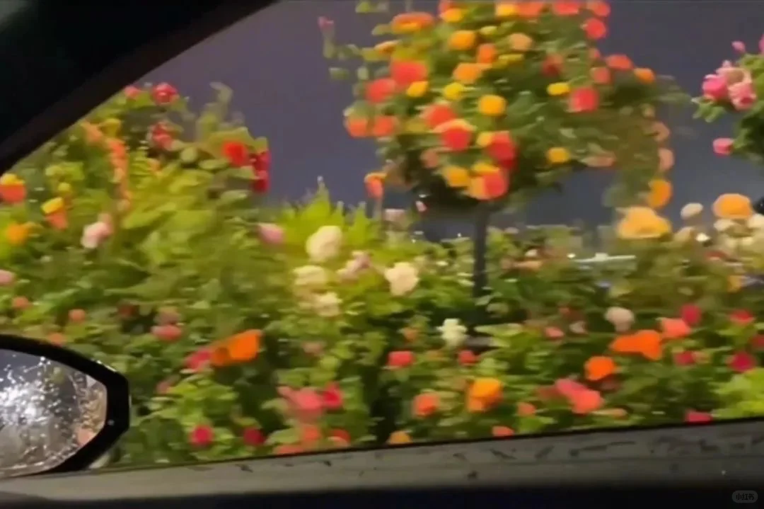 𝑺𝒉𝒂𝒓𝒆 | 超美的ipad平板壁纸