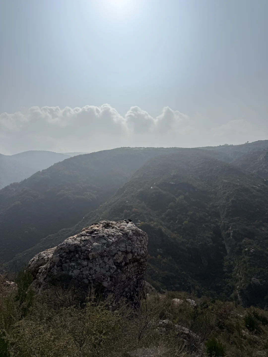 我见青山多妩媚，料青山，见我多如是