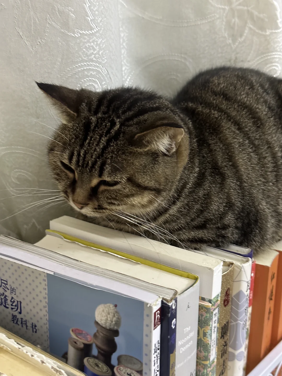 你这个姿势是怎么睡得着觉的😳