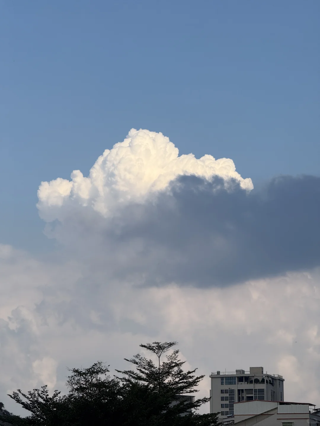 少女感的少妇，褒义还是贬义？