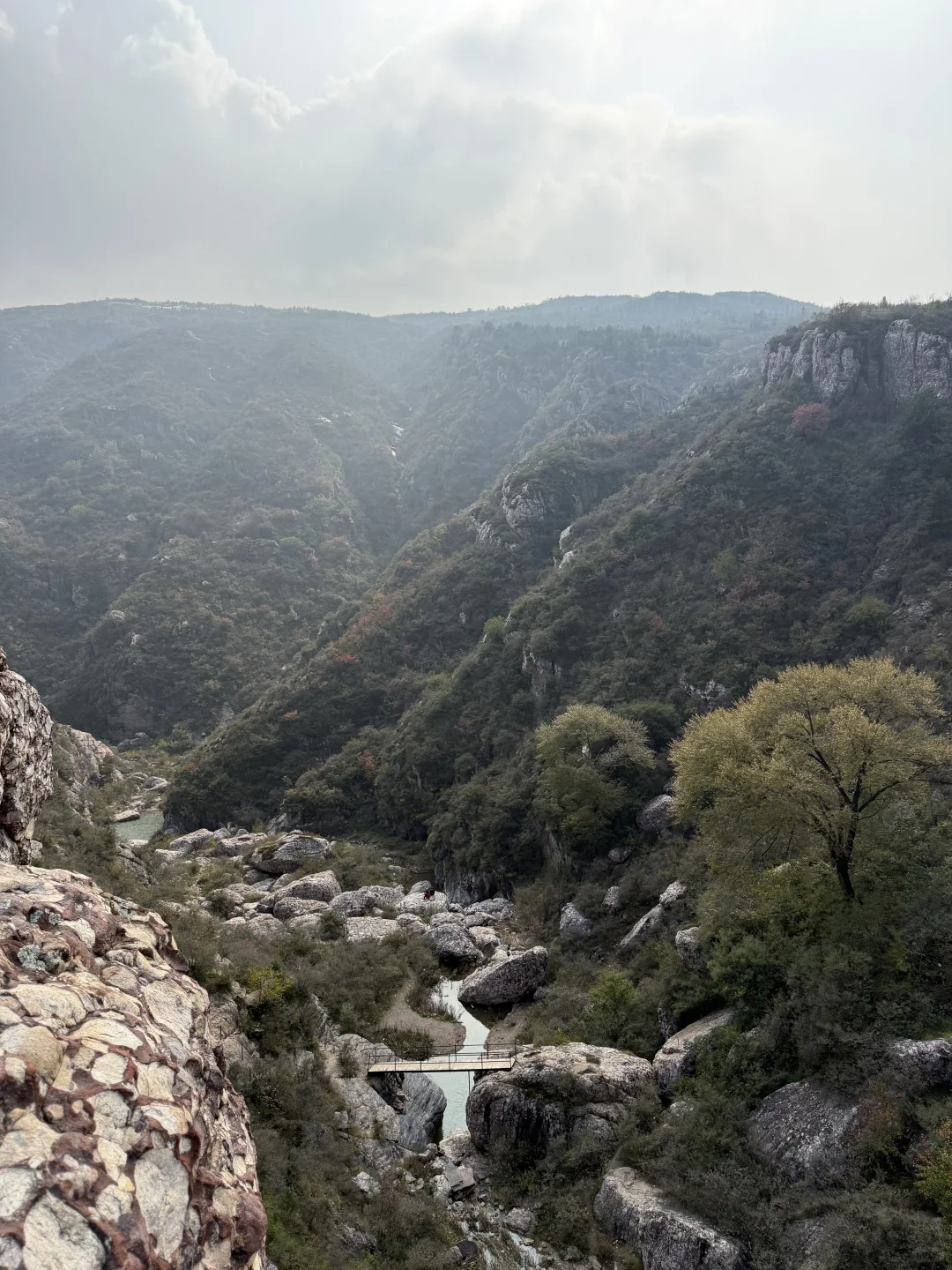 我见青山多妩媚，料青山，见我多如是