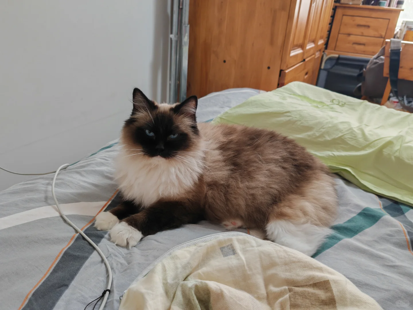 古风小生猫猫帖评论不忍仅留于评论区遂发之