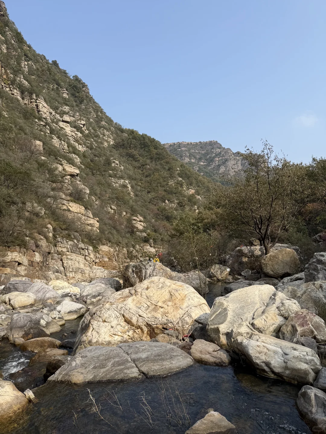 我见青山多妩媚，料青山，见我多如是