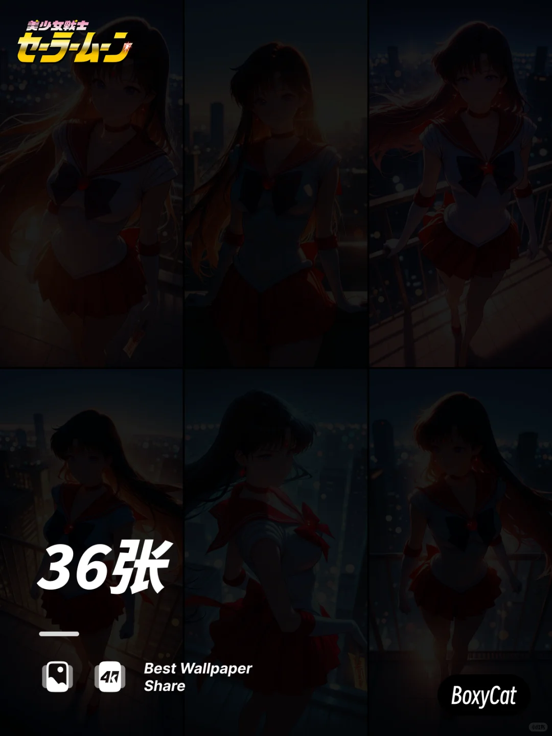 Vol.109_《美少女战士》火野丽动漫壁纸