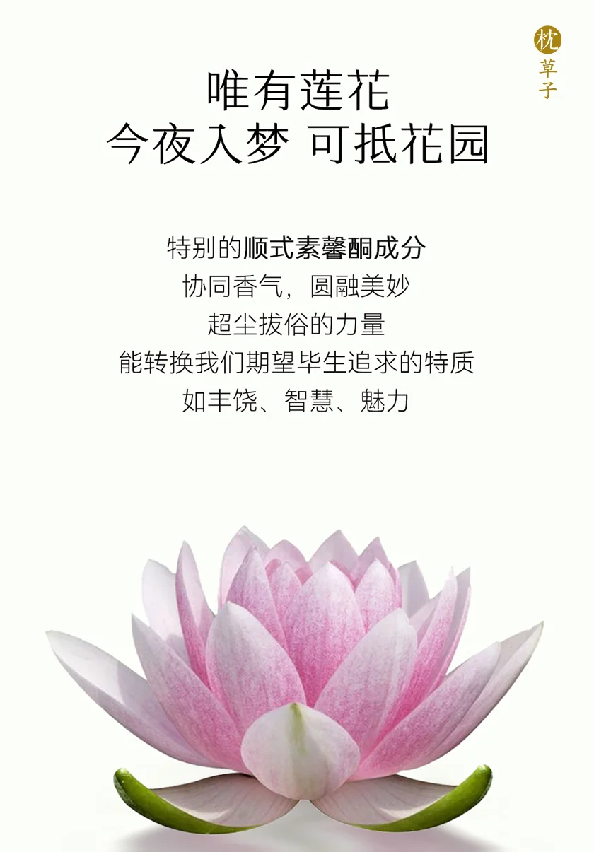 上新丨私密油养，春妍2.0