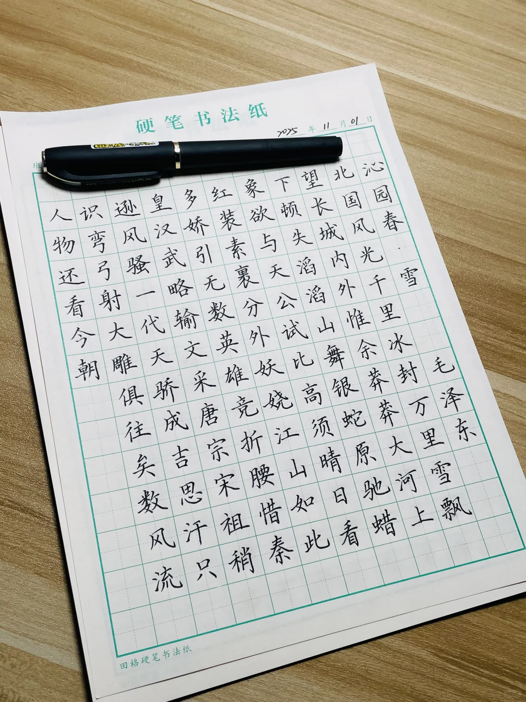 day237《沁园春·雪》毛泽东