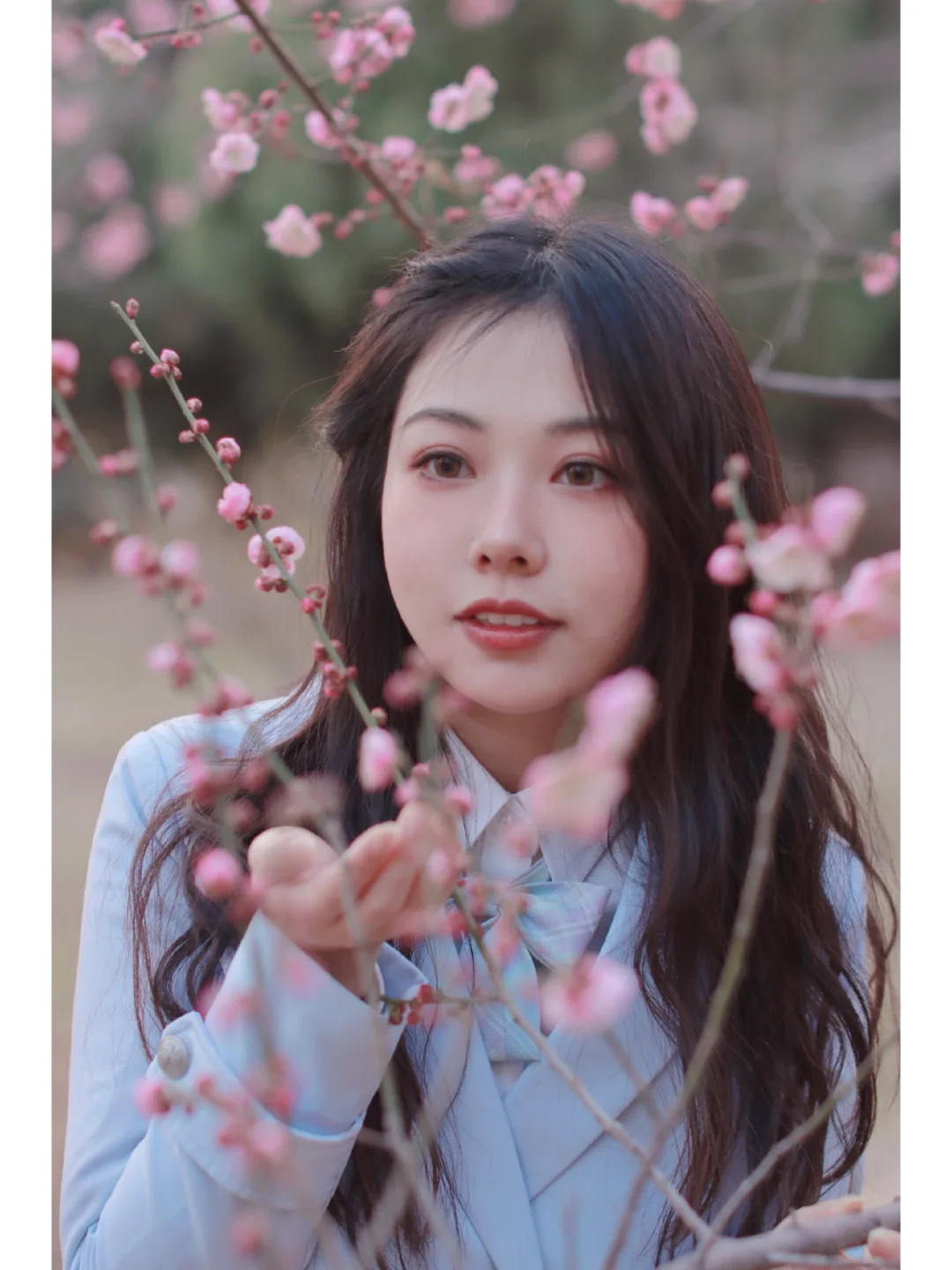 春日限定女主角 赴来自春天的约会！！