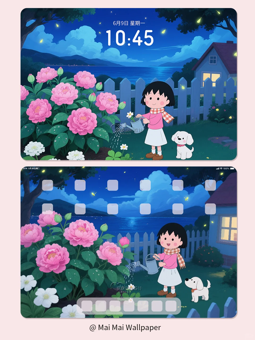 224 樱桃小丸子✿灼灼月季花平板壁纸