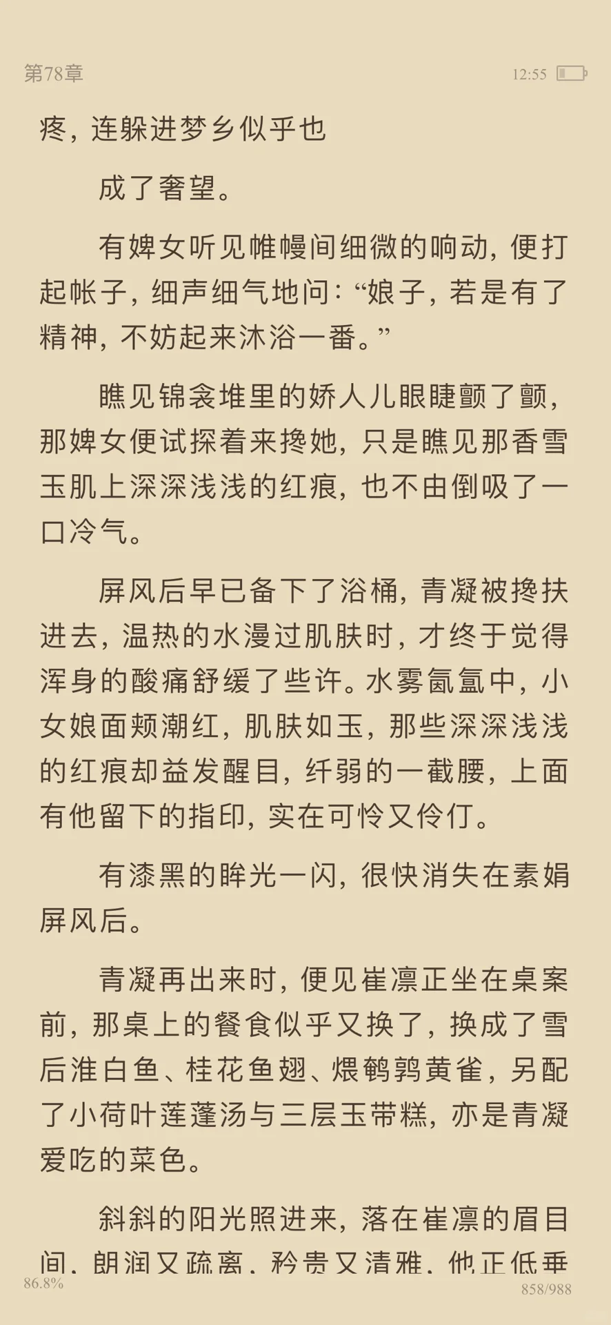 恋嫩癖的古言谁在看啊