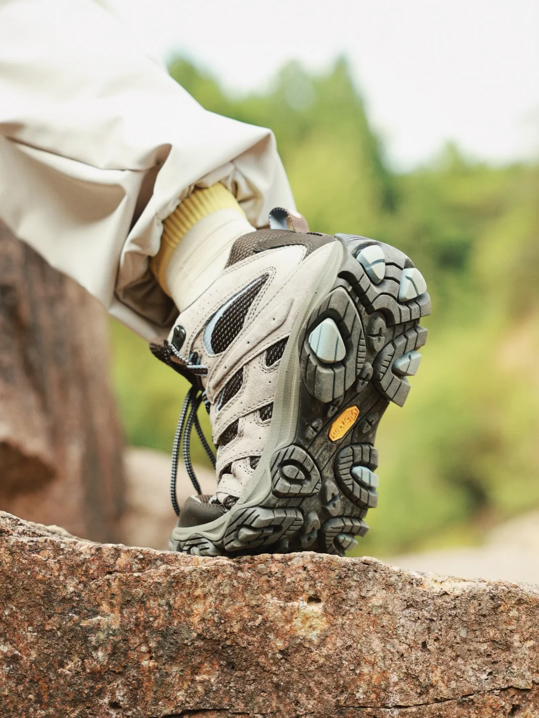 🌲我见青山多妩媚 料青山见我应如是🌲