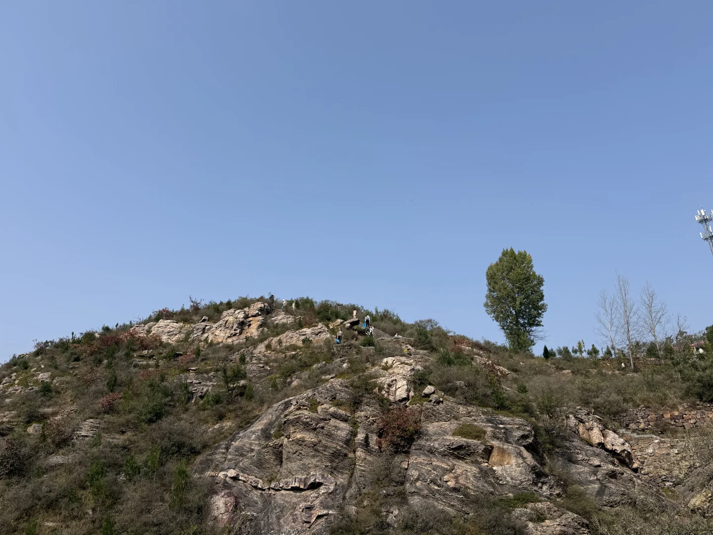 我见青山多妩媚，料青山，见我多如是