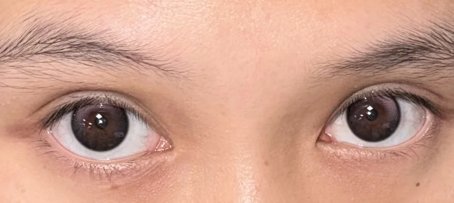 我勒个恋爱捕手（含乱转效果）