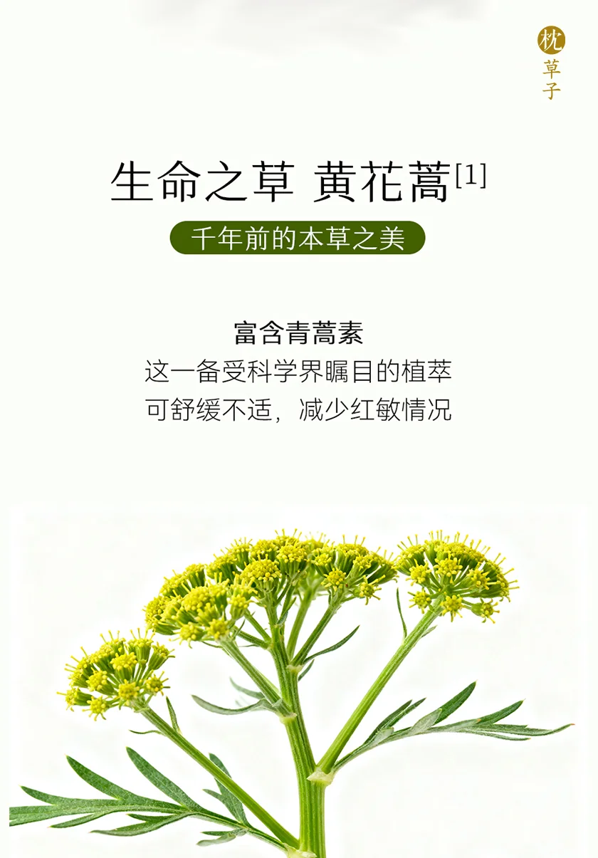 上新丨私密油养，春妍2.0