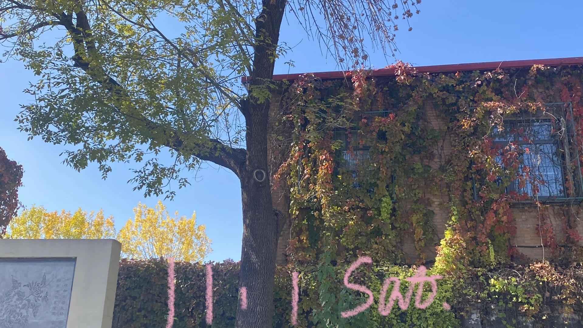 没力的美少女在练八段锦