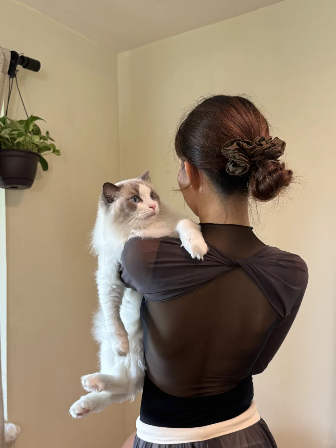 万圣节的芭蕾课之美少女战士🧚‍♀️