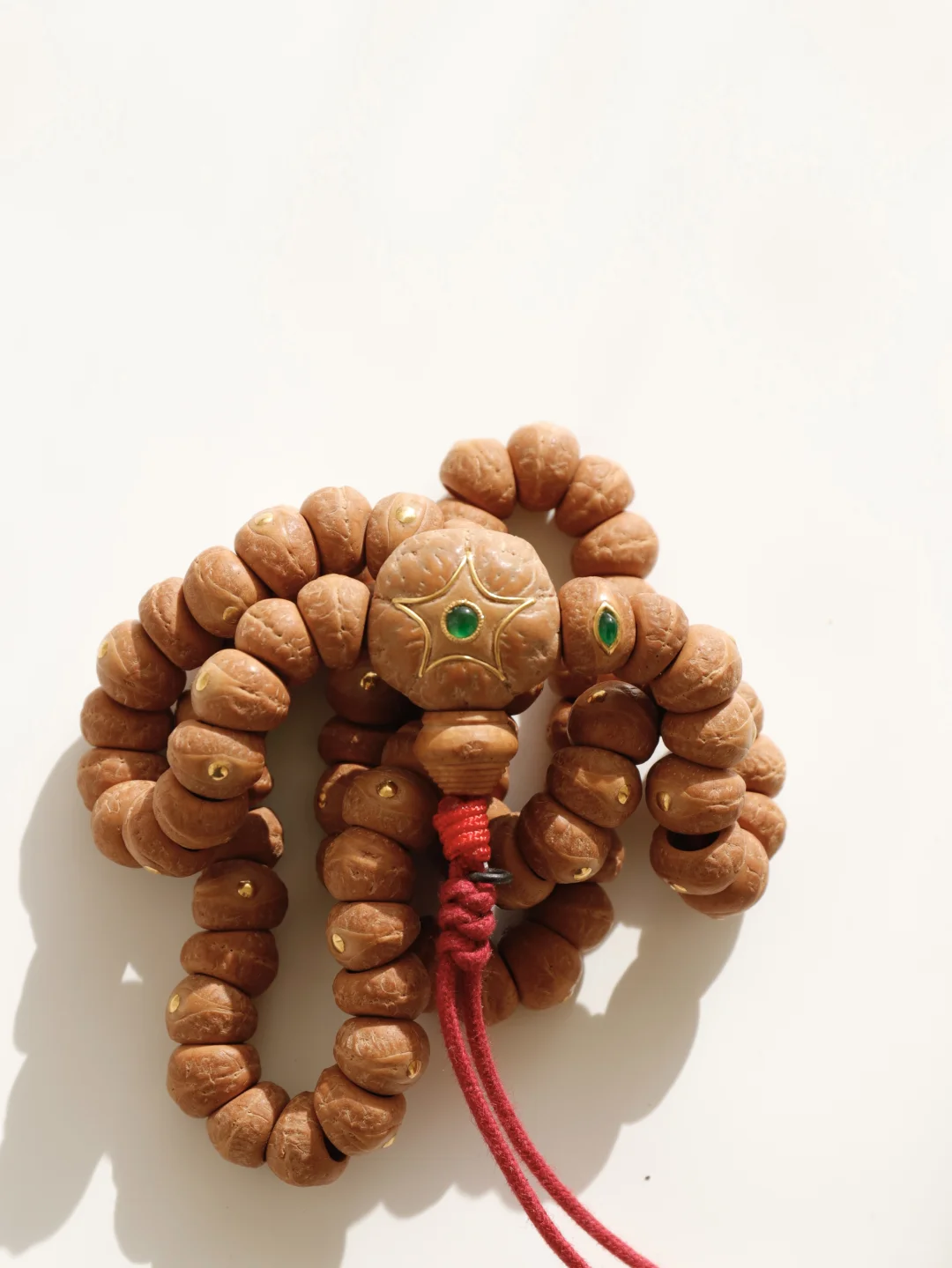 玉化皮质的凤眼大肠