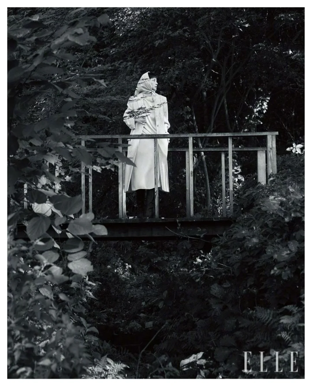 54岁“氧气女神”李英爱登ELLE时尚大片