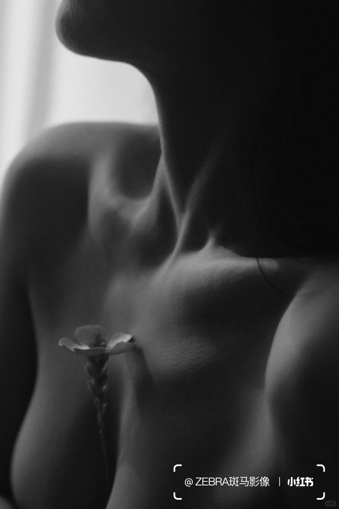 每个女孩都有自己独特的美