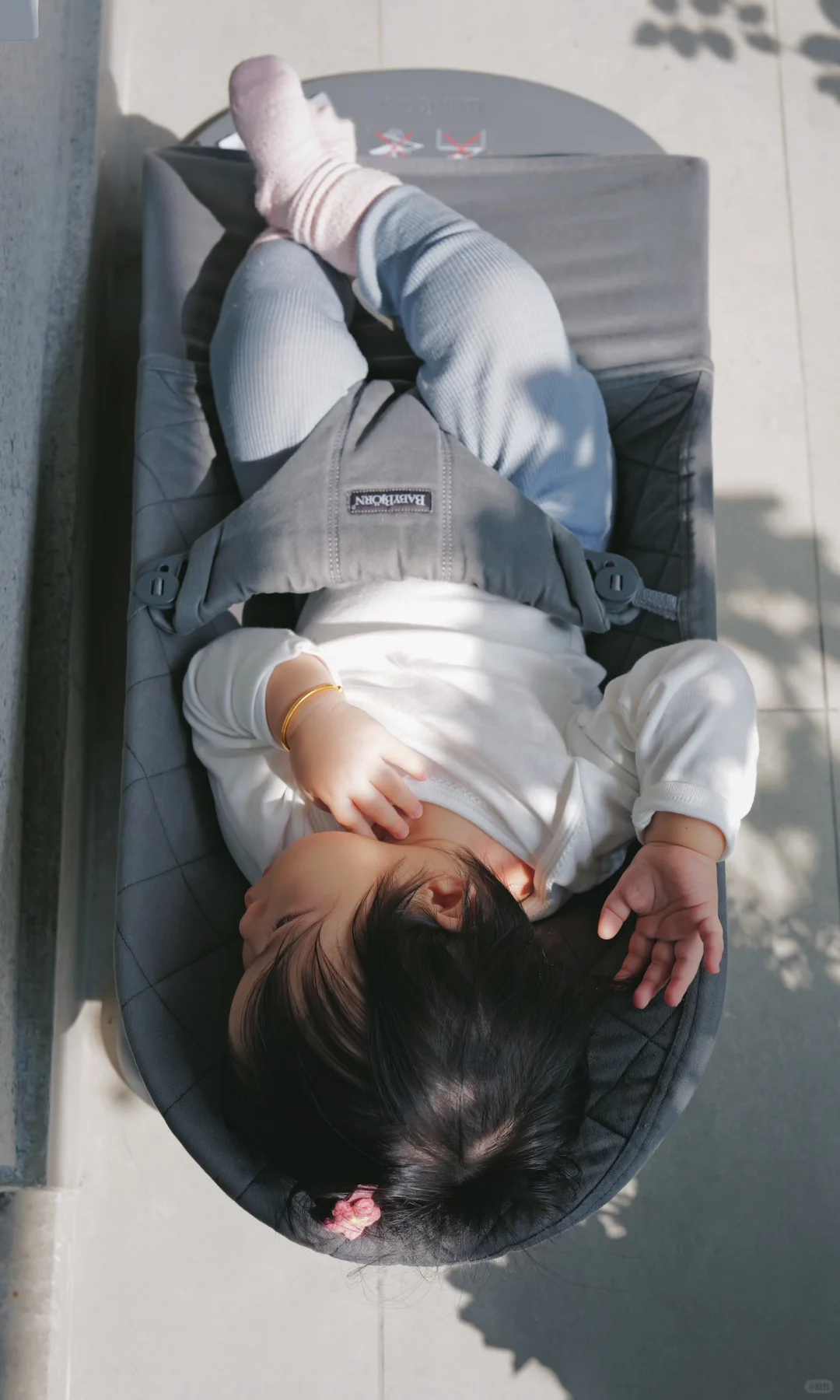 优秀的重瓣郁金香