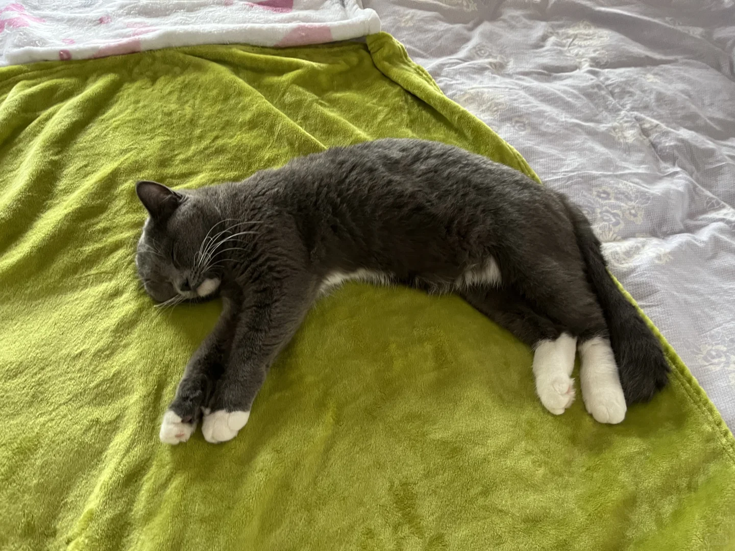 各种妖娆的睡姿😂