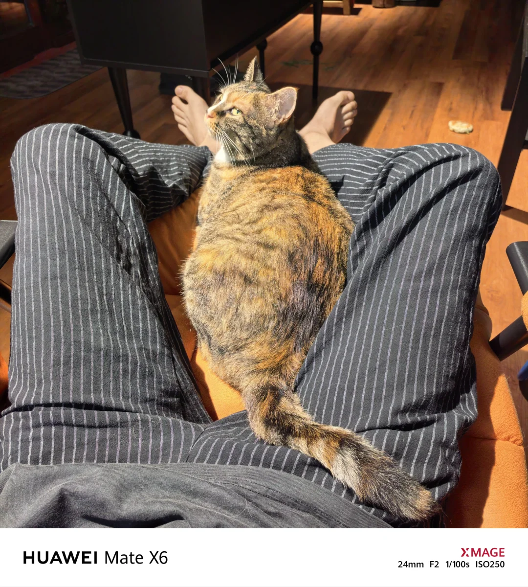 小美丽这拉丝的眼神🙀