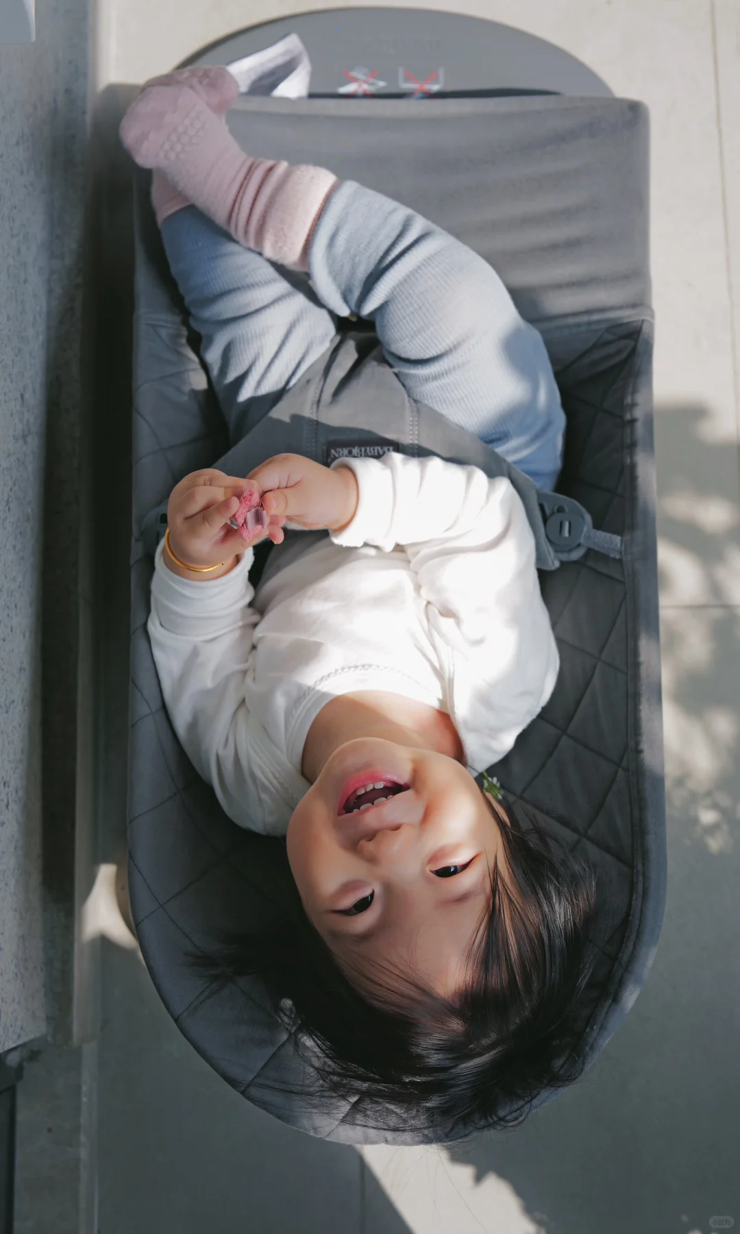 优秀的重瓣郁金香