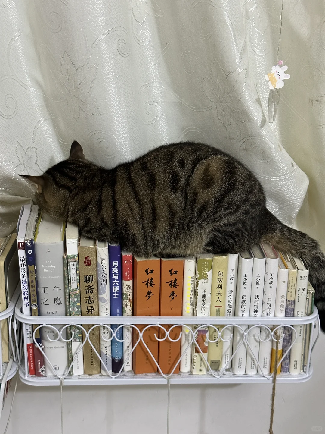 你这个姿势是怎么睡得着觉的😳