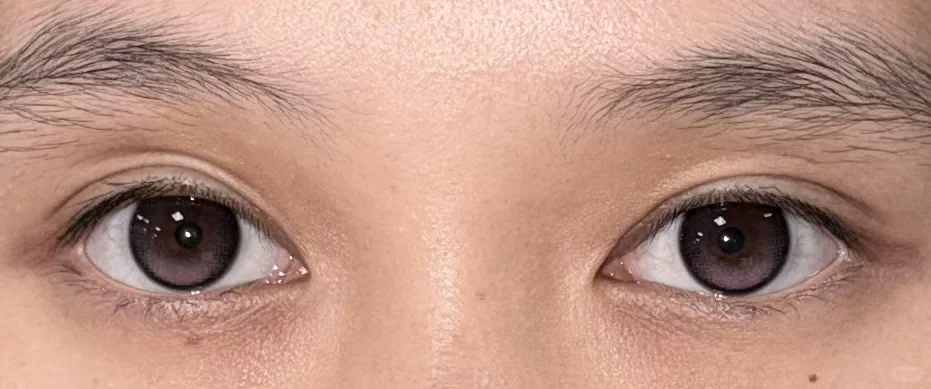 我勒个恋爱捕手（含乱转效果）