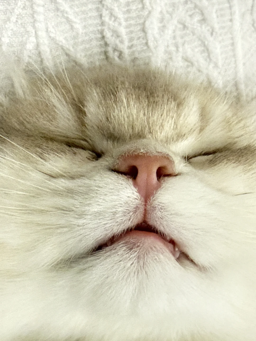 谁教你这样睡觉的