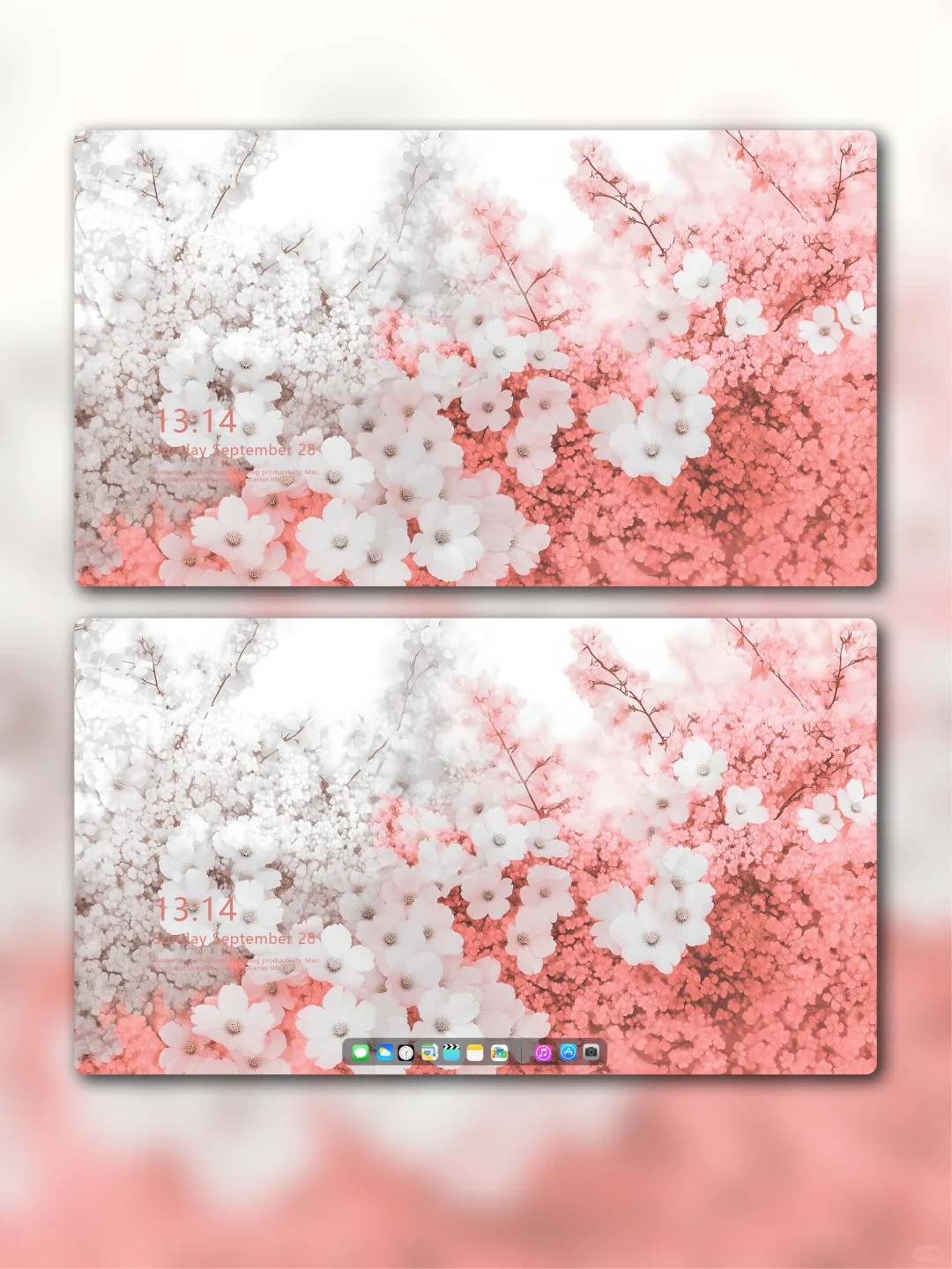 8K壁纸免费分享-唯美治愈系花海，太美啦