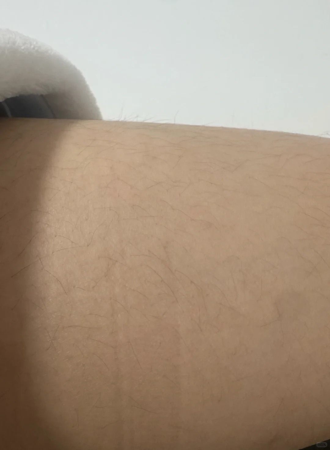 冬日裙搭❄️实验反馈日记01:秋裤+过膝袜