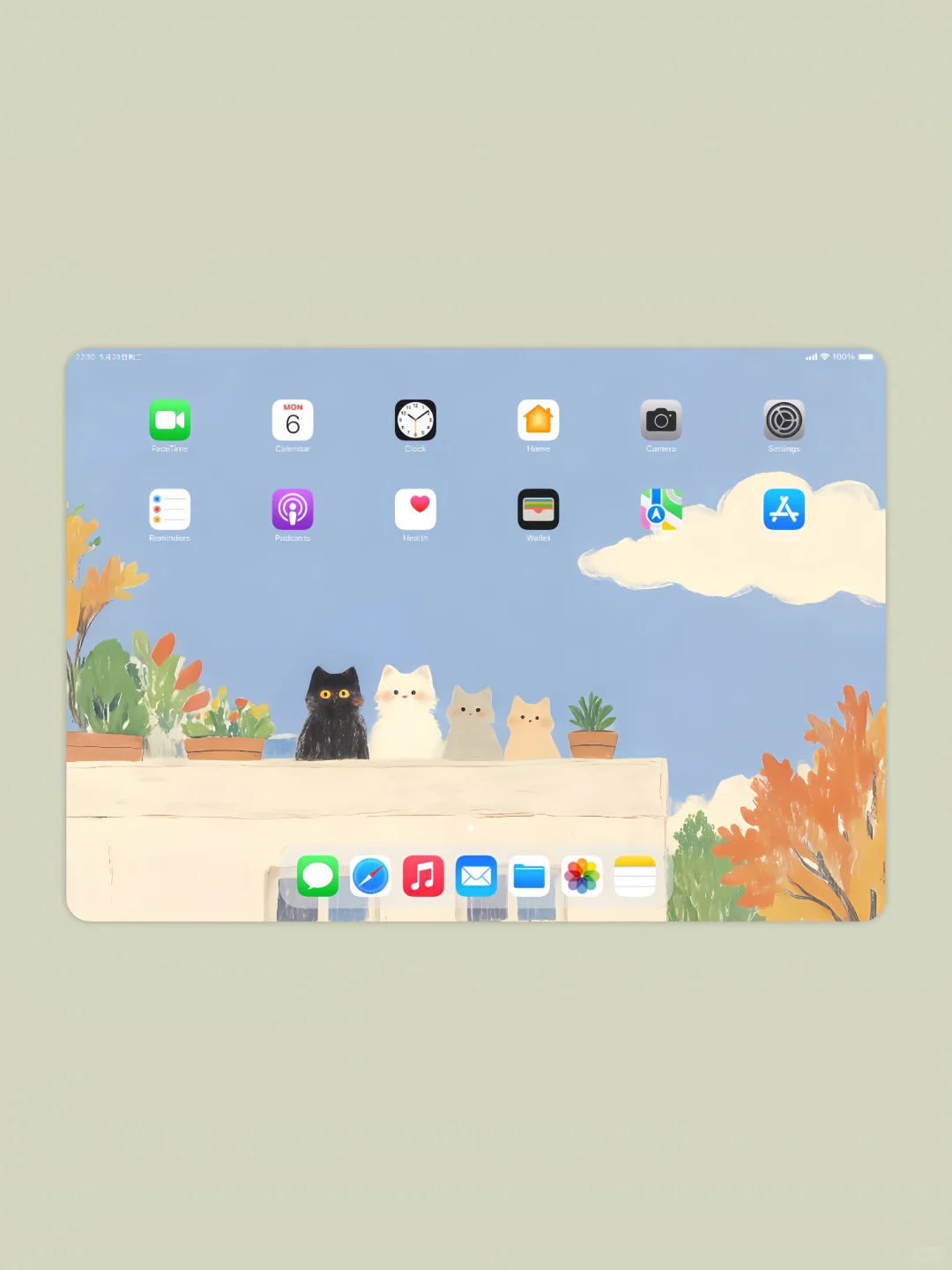 iPad壁纸•横竖通用 | 秋天🍂四只猫