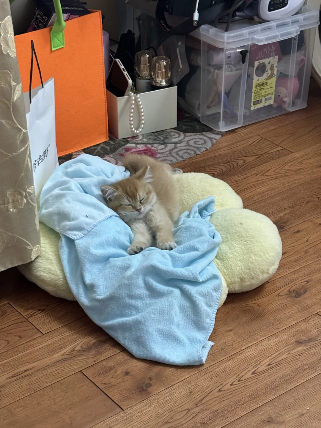 咪的随地大小睡