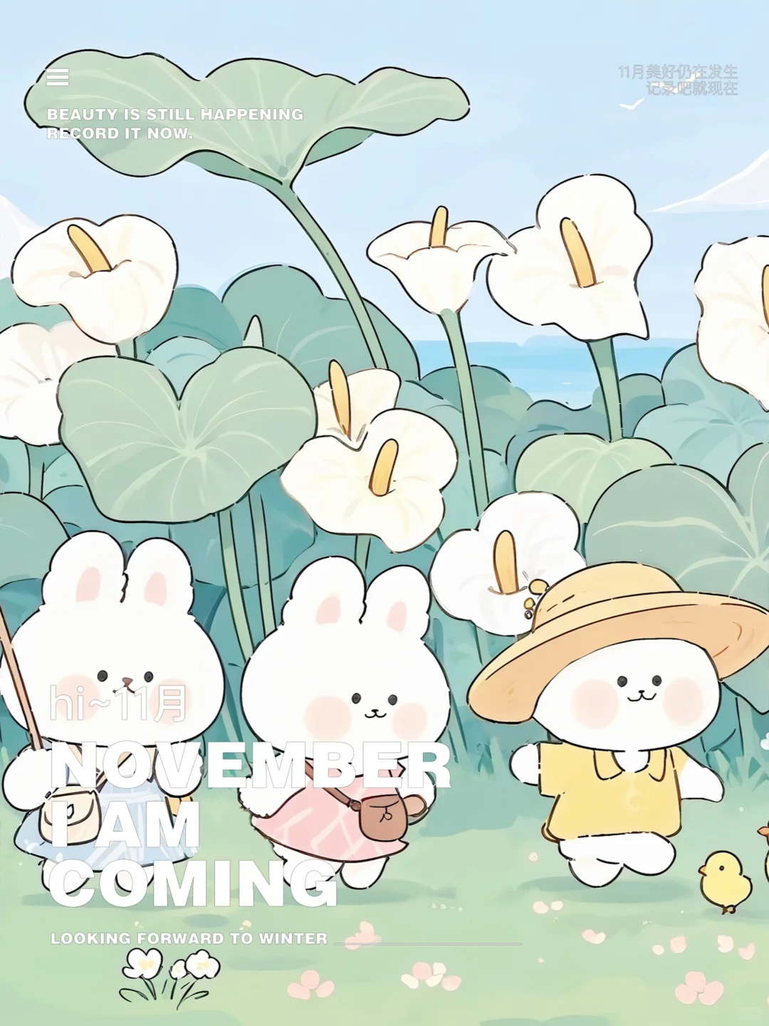 十一月啦～该换个壁纸了喂🌸