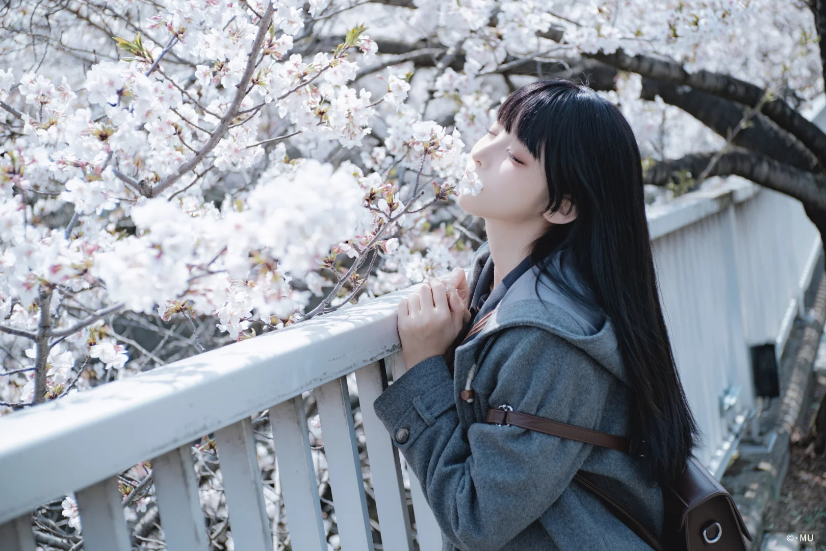 国产镜头已经next level了◾七工匠35㎜1.4