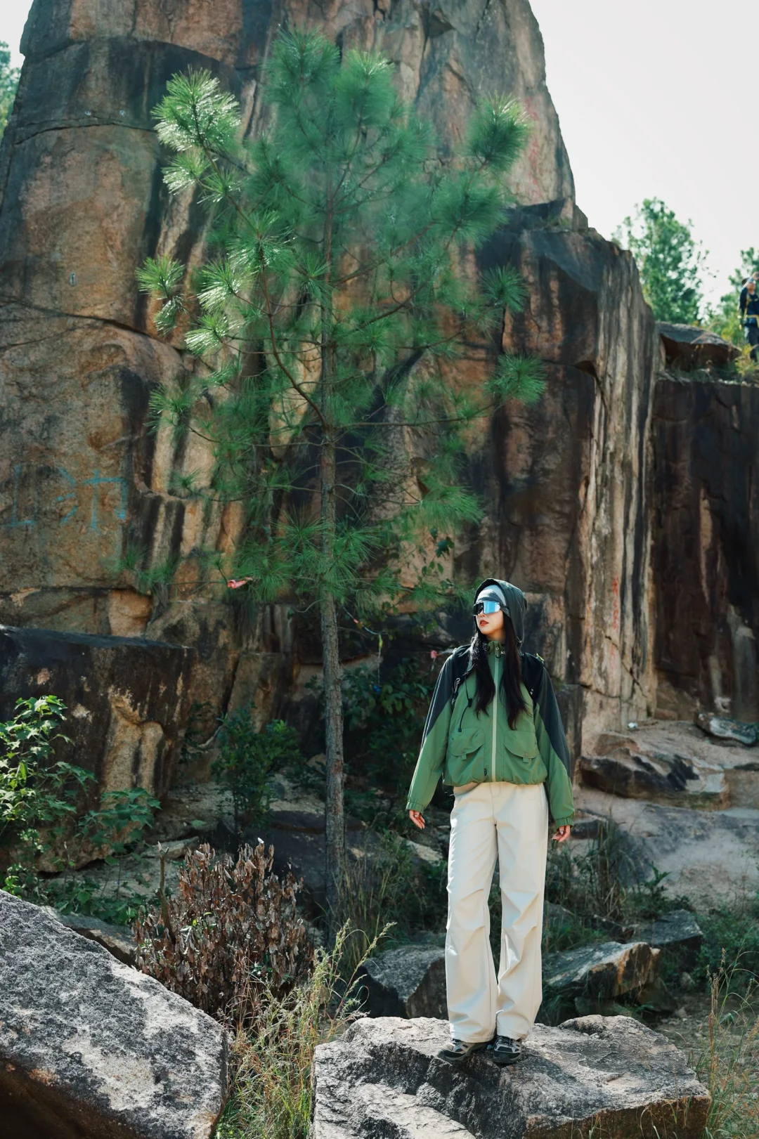 🌲我见青山多妩媚 料青山见我应如是🌲