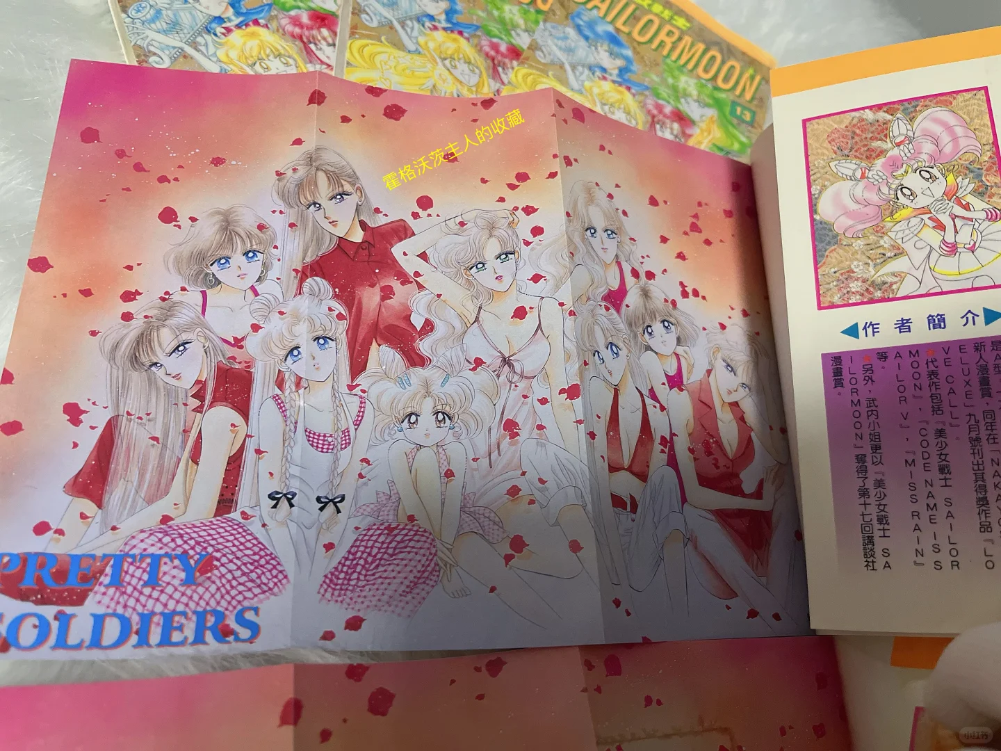 绝版古董～96年美少女战士13