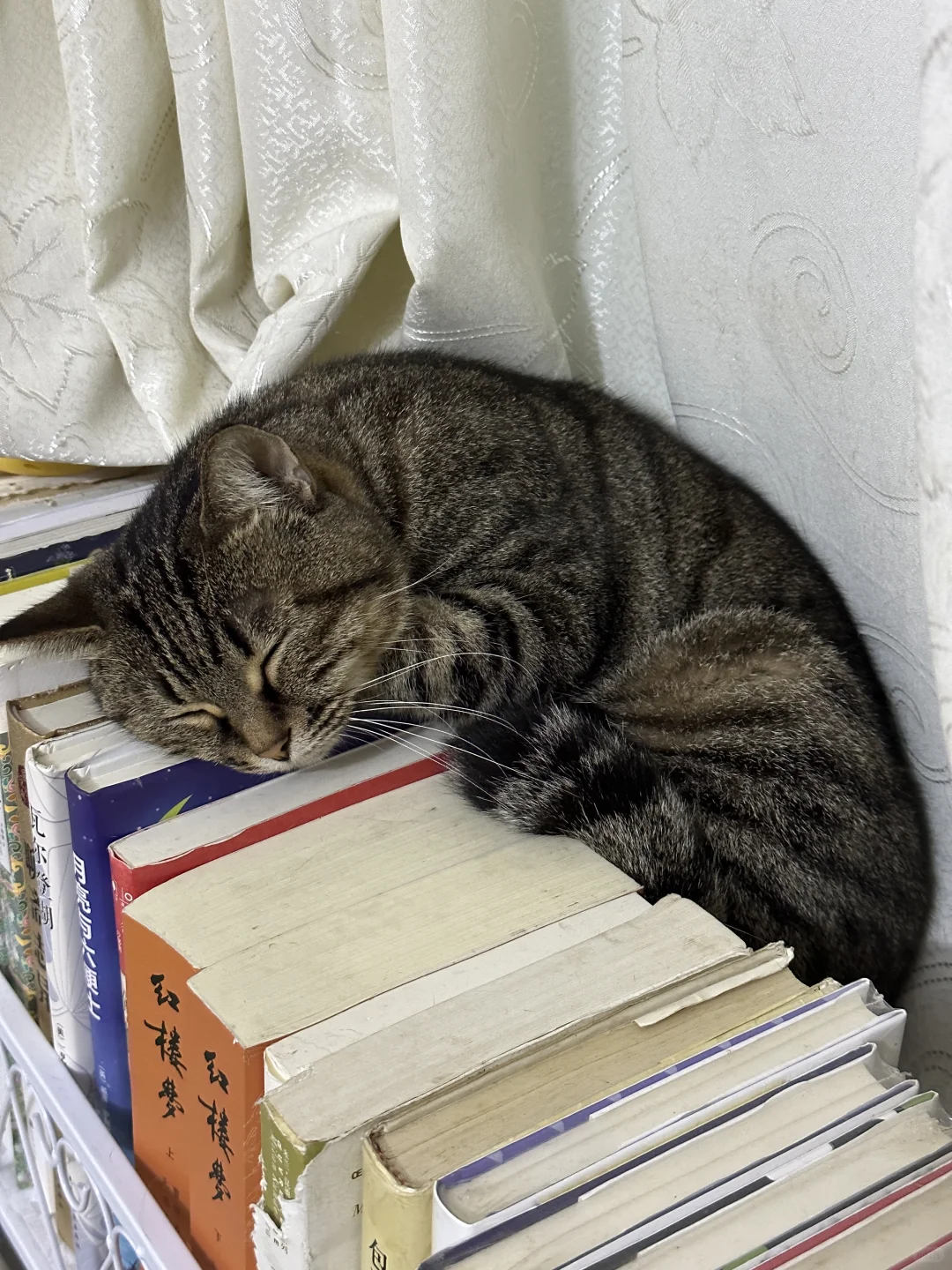 你这个姿势是怎么睡得着觉的😳