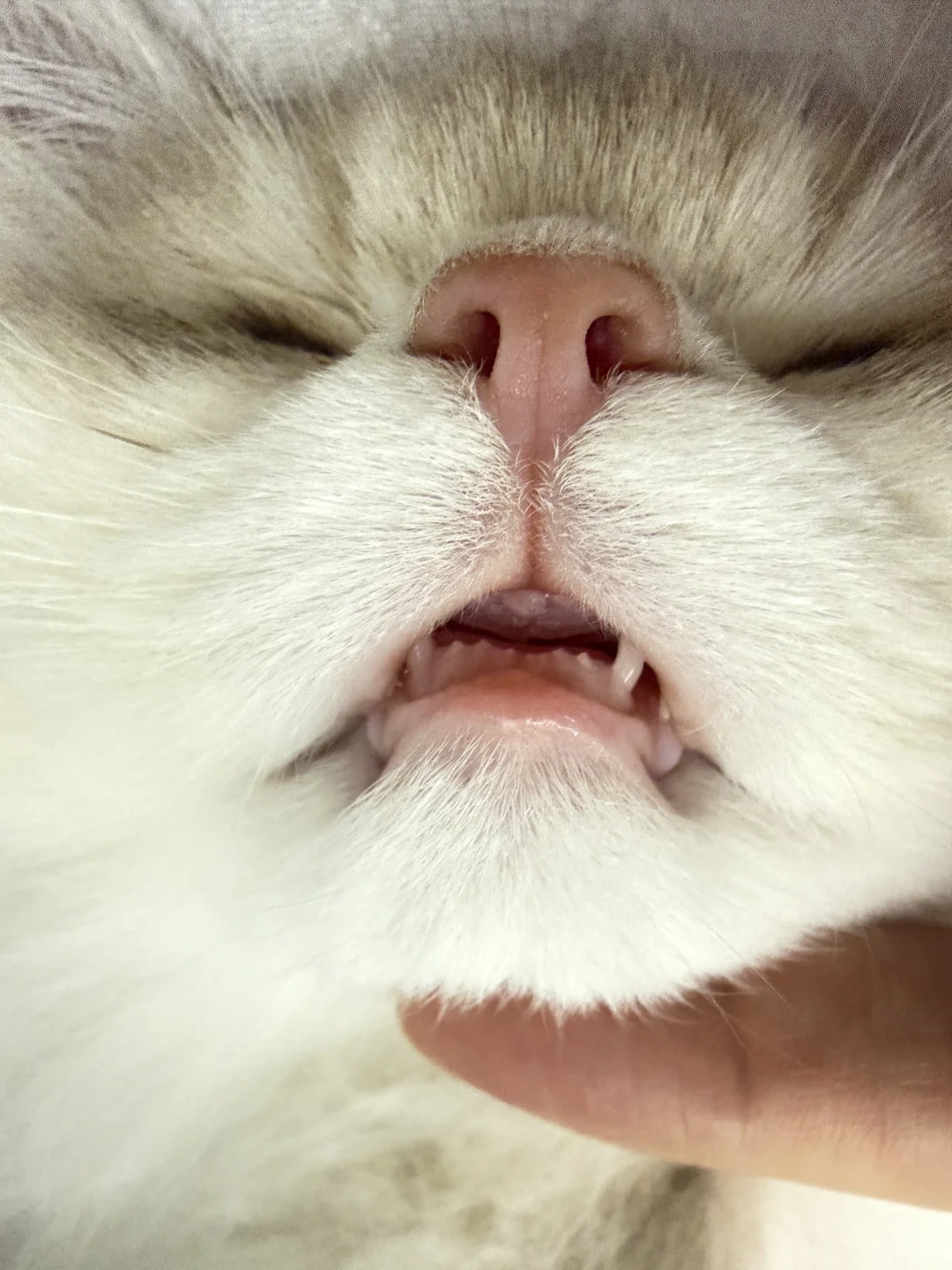 谁教你这样睡觉的