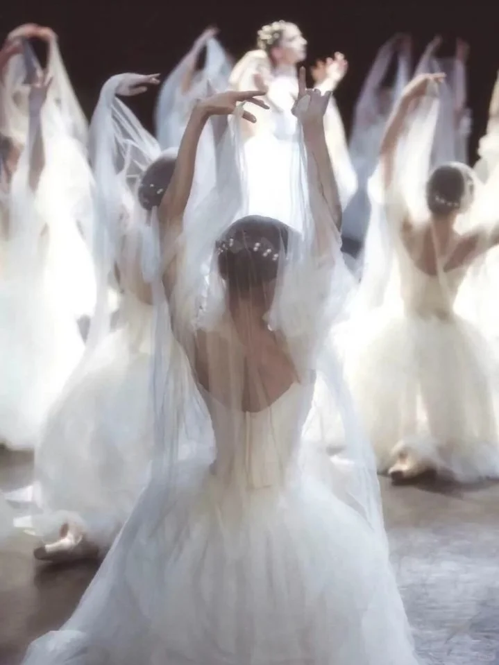 身娇体软会跳舞的女主文！