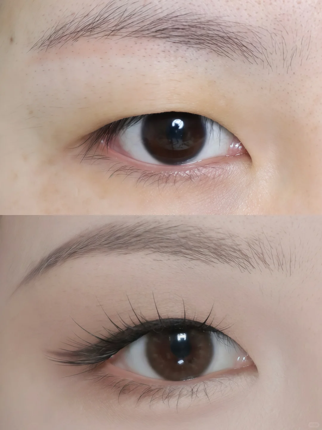 单眼皮必学眼妆🌸妩媚感眼妆太让人上头了