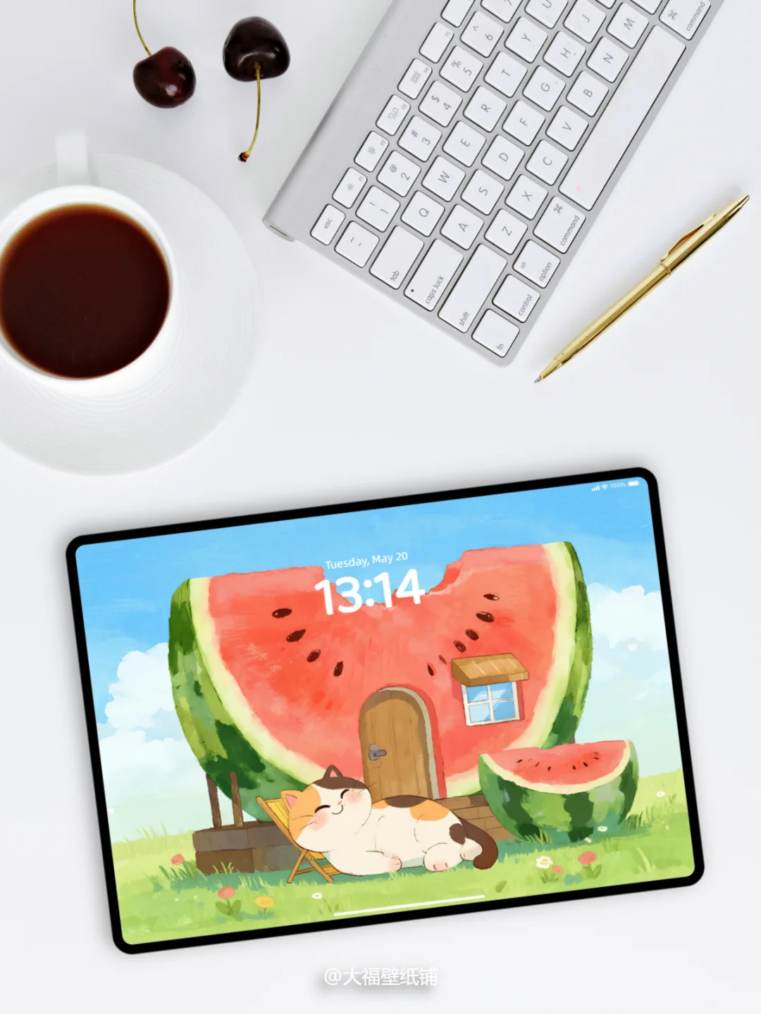 平板壁纸丨16丨西瓜屋与猫
