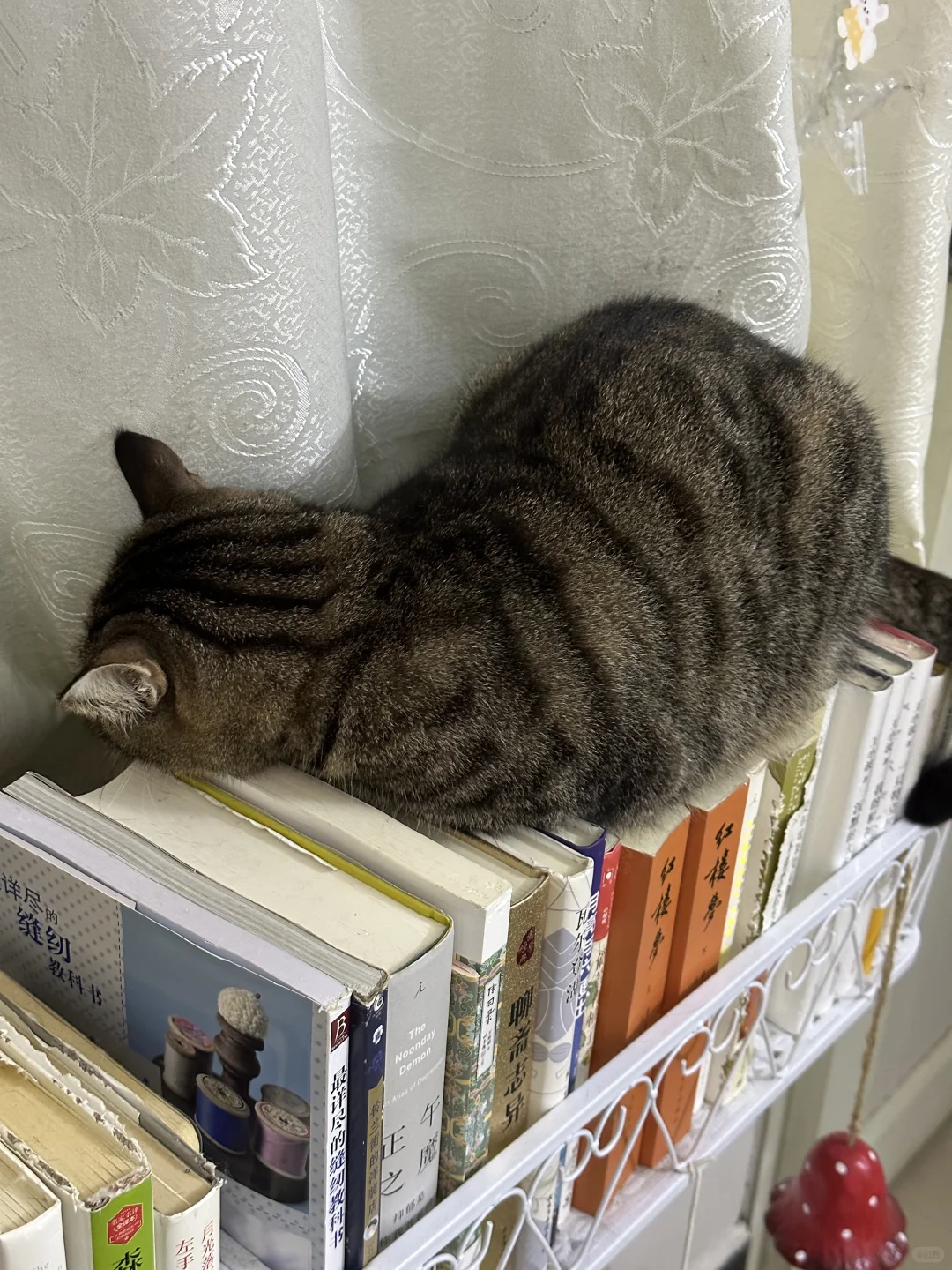 你这个姿势是怎么睡得着觉的😳