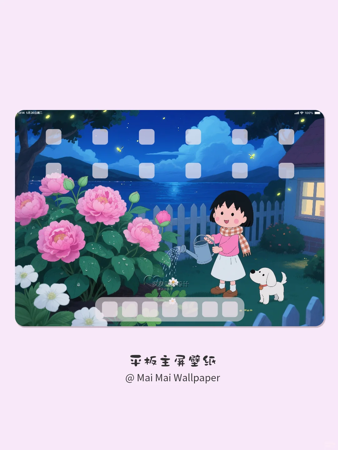 224 樱桃小丸子✿灼灼月季花平板壁纸