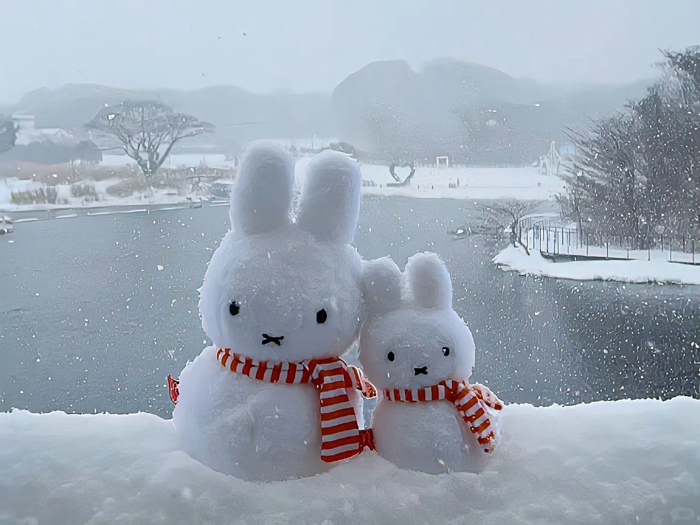 给你的Pad换个壁纸吧！